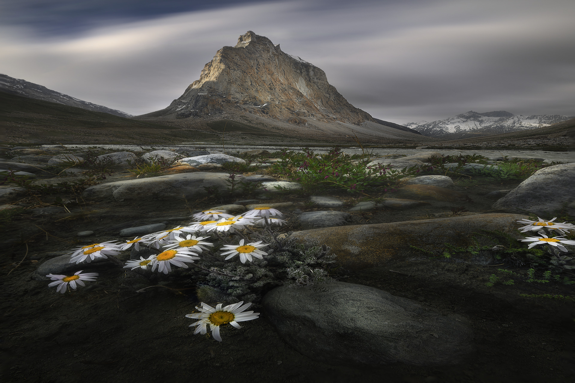 naturescape-2024